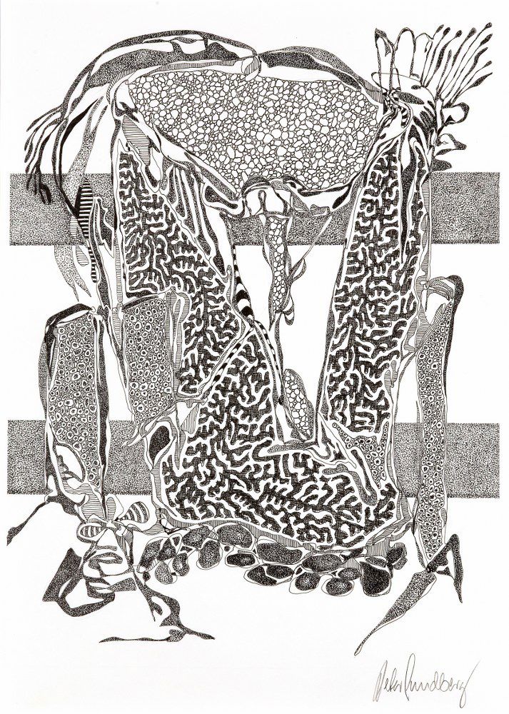 Peter Lundberg 862 Ny